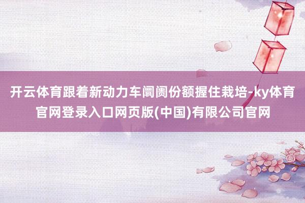 开云体育跟着新动力车阛阓份额握住栽培-ky体育官网登录入口网页版(中国)有限公司官网