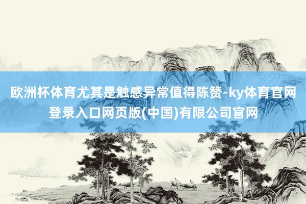 欧洲杯体育尤其是触感异常值得陈赞-ky体育官网登录入口网页版(中国)有限公司官网