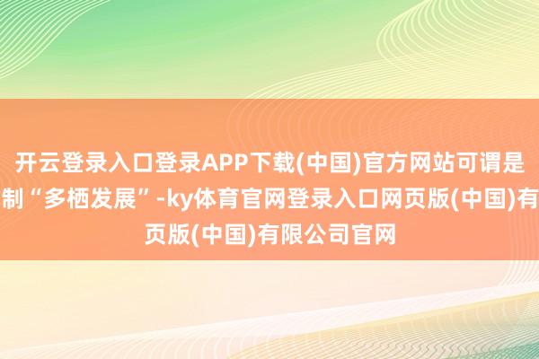 开云登录入口登录APP下载(中国)官方网站可谓是在体裁等限制“多栖发展”-ky体育官网登录入口网页版(中国)有限公司官网