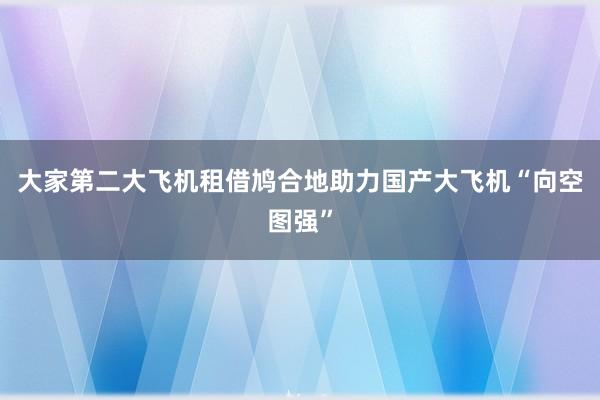 大家第二大飞机租借鸠合地助力国产大飞机“向空图强”