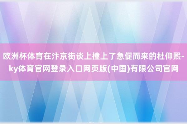 欧洲杯体育在汴京街谈上撞上了急促而来的杜仰熙-ky体育官网登录入口网页版(中国)有限公司官网