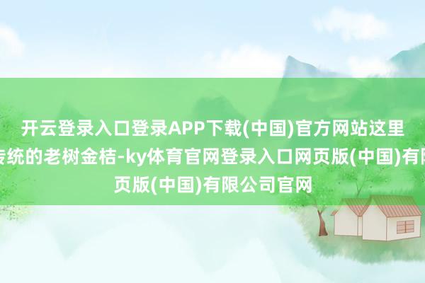 开云登录入口登录APP下载(中国)官方网站这里的金桔从传统的老树金桔-ky体育官网登录入口网页版(中国)有限公司官网