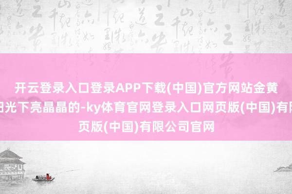 开云登录入口登录APP下载(中国)官方网站金黄的稻穗在阳光下亮晶晶的-ky体育官网登录入口网页版(中国)有限公司官网