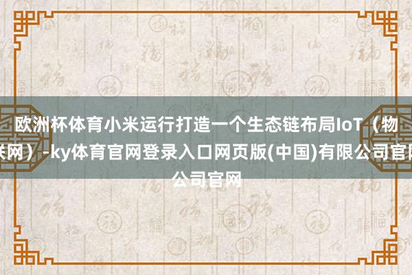 欧洲杯体育小米运行打造一个生态链布局IoT（物联网）-ky体育官网登录入口网页版(中国)有限公司官网